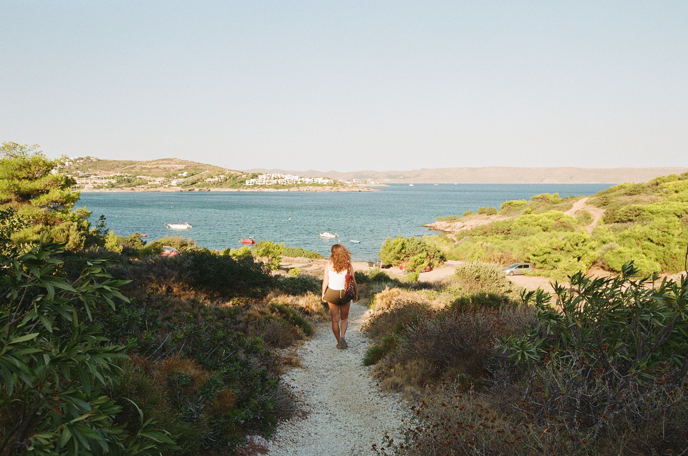 The View - Analog Photography